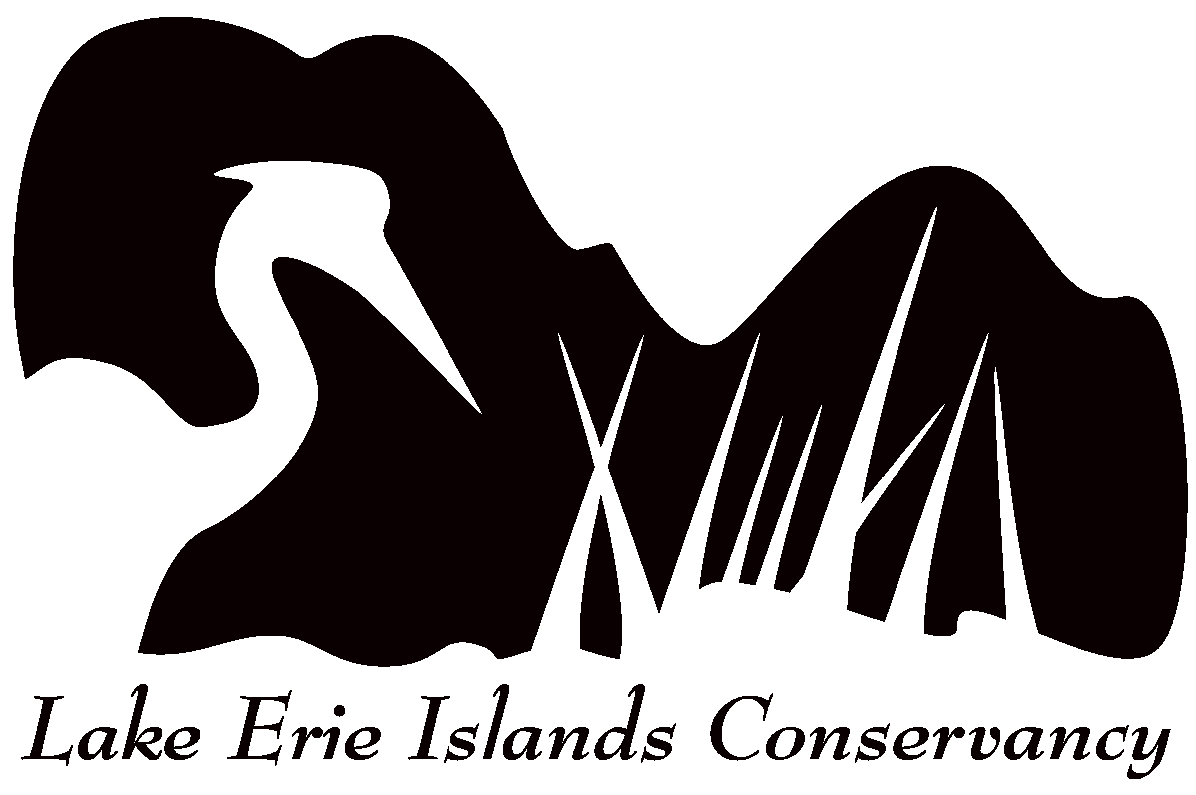 LEI-Conservancy logo no bg